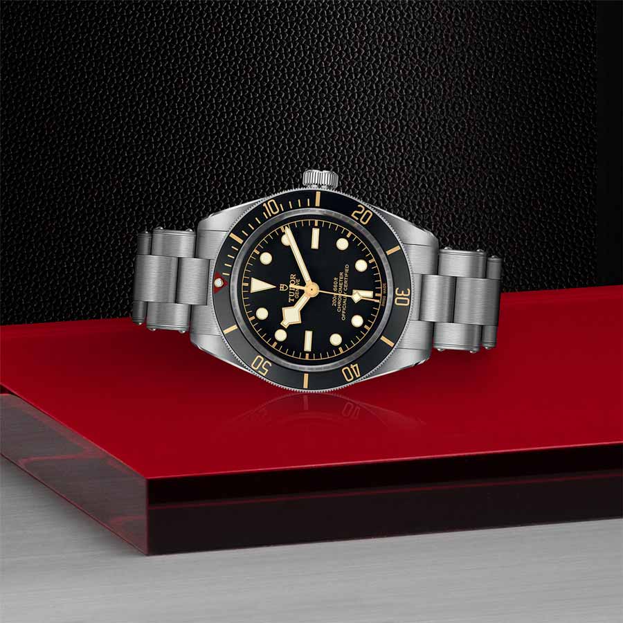 TUDOR M79030N-0001 layingdown