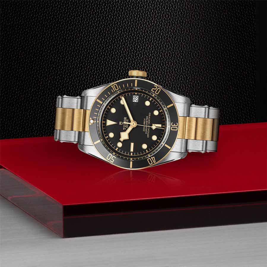 TUDOR M79733N-0008 layingdown