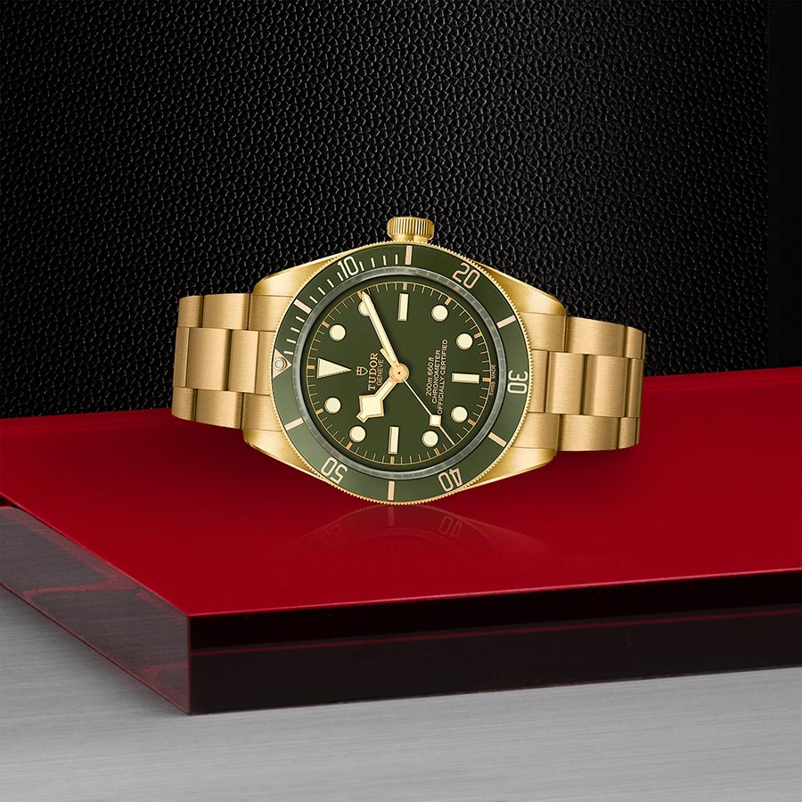 TUDOR M79018V-0006 layingdown